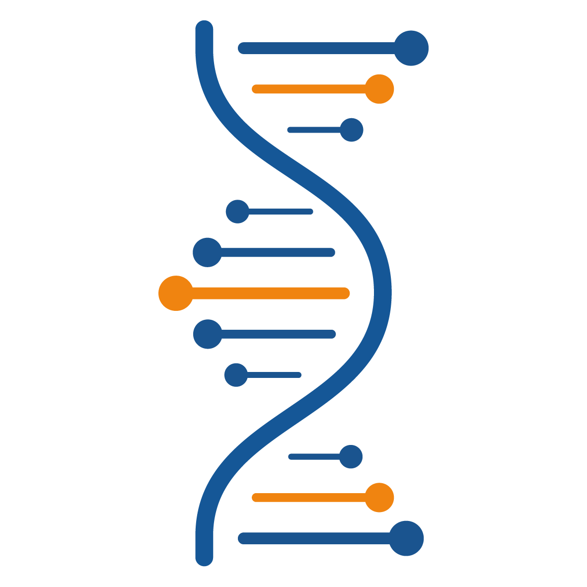 Nucleic Acid Sequence Design