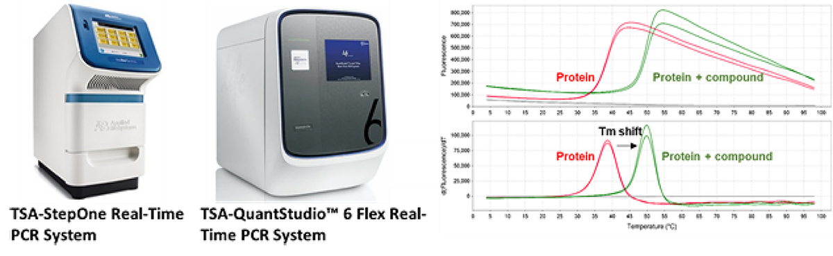 1.2.4-Biophysical Assays-4.png