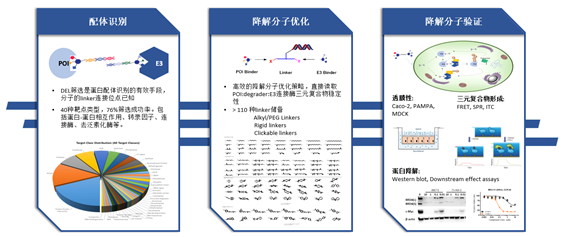 1618299616935252.png image.png
