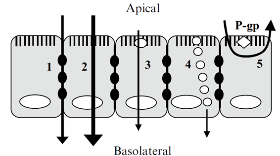 1658302989888788.png image.png