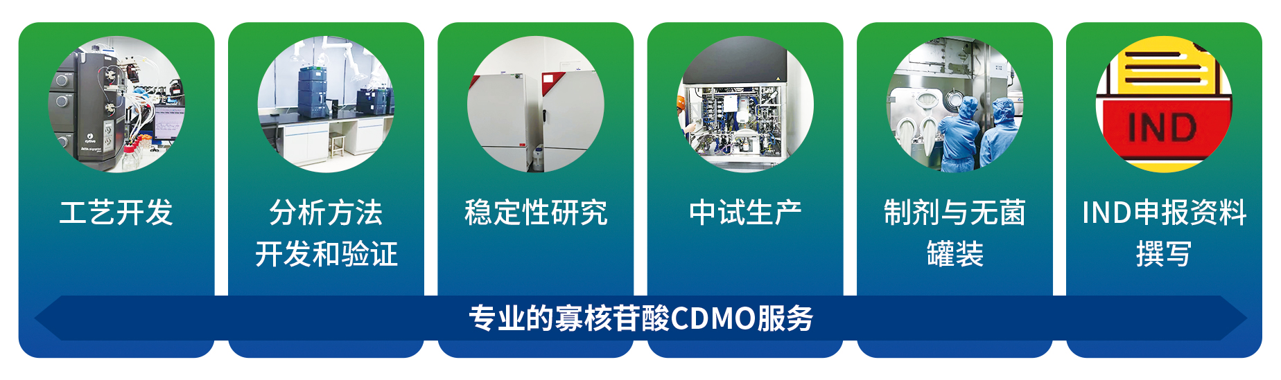 CDMO服务(1).jpg