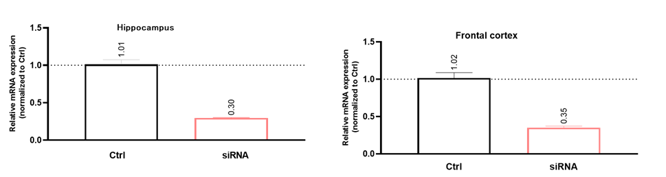 1742867128546675.png image.png