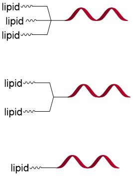 1778124402451412.png image.png